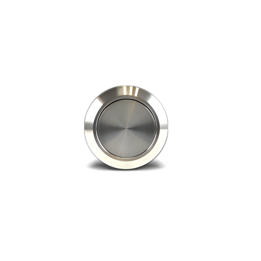 Bouton poussoir 12V en acier inoxydable (NO)