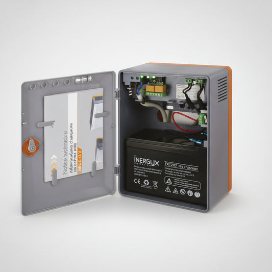 Alimentation batterie 12V en coffret ABS pour système de sécurité